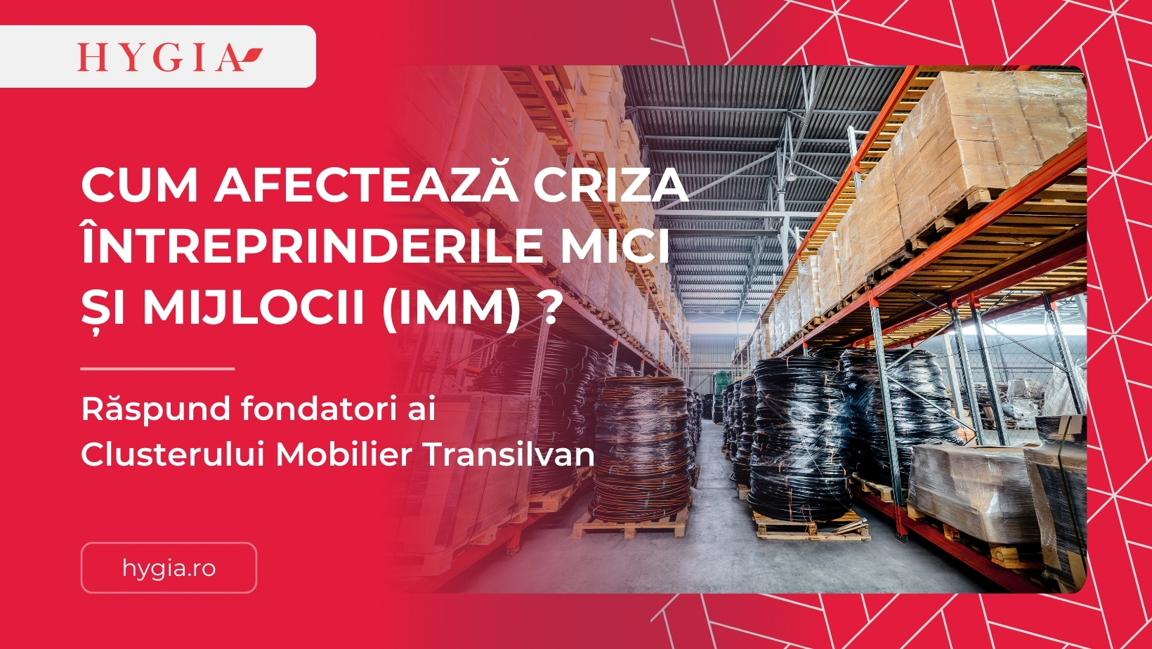 Cum afectează criza IMM-urile? Răspund fondatori ai Clusterului Mobilier Transilvan